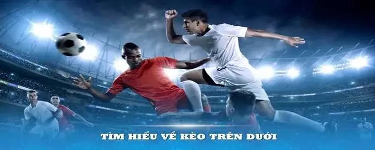 Khám Phá Khuyến Mãi Nhà Cái Vuabet: Trải Nghiệm Cá Cược Đỉnh Cao 2 Khám Phá Khuyến Mãi Nhà Cái Vuabet: Trải Nghiệm Cá Cược Đỉnh Cao